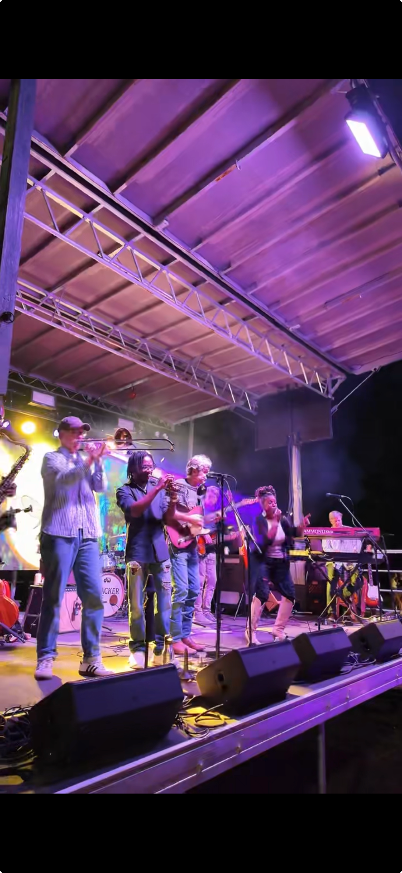 Live band with horn section on stage under purple lighting